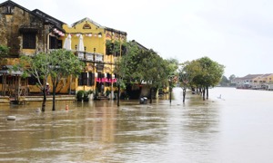 Chủ động ứng phó, khắc phục hậu quả mưa lũ ở Trung Bộ