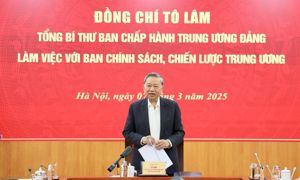 Kinh tế tư nhân - Lực lượng tiên phong trong kỷ nguyên mới