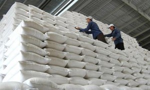 Xuất bán gần 90.000 tấn thóc, gạo nhập kho dự trữ quốc gia 
