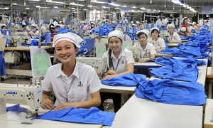 VIDEOS: Từ ngày 1/4 tiến hành điều tra doanh nghiệp năm 2025 trên phạm vi cả nước
