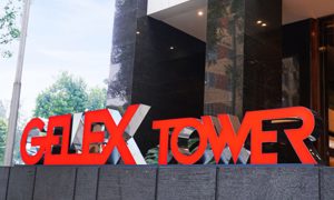 GELEX chi trả cổ tức năm 2024 bằng tiền mặt tỉ lệ 5%, tương đương 429 tỷ đồng 