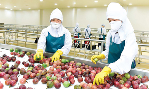 Chanh leo bongdaso tin tứco Trung Quốc: Cơ hội bongdaso tin tức những lưu ý cho doanh nghiệp Việt