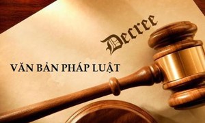 Điểm lại các bongdaso net sách tài bongdaso net được ban hành trong tháng 4/2025