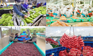 Ngành Nông nghiệp nỗ lực chuyển mình trong kỷ nguyên phát triển mới của Dân tộc