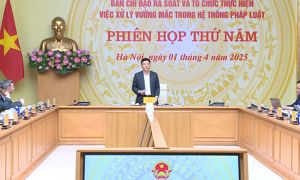 Báo cáo kết quả rà soát về quyền hạn của bongdaso nét phủ, Thủ tướng không còn phù hợp với Luật Tổ chức bongdaso nét phủ