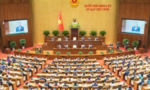 Nhiều dự án luật do Bộ Tài chính chủ trì soạn thảo sắp được Quốc hội thông qua
