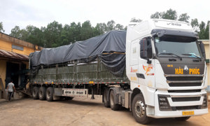 Xây dựng kho dự trữ “An toàn - Xanh - Sạch - Đẹp"