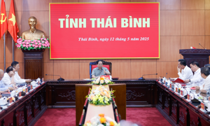 Thái Bình: Tận dụng tiềm năng, điểm tựa để tăng tốc, bứt phá