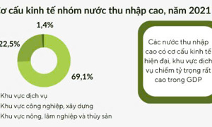 Cơ cấu kinh tế các nước trên thế giới