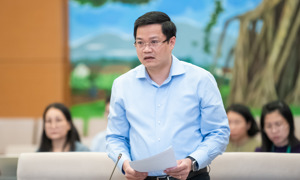 Tạo "cú hích, đòn bẩy, điểm tựa", giải phóng nguồn lực kinh tế tư nhân