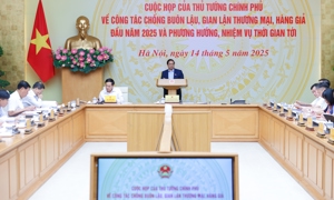 Ngăn chặn, đẩy lùi và tiến tới chấm dứt tình trạng buôn lậu, hàng giả