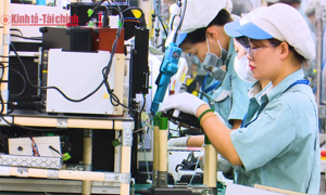 VIDEO: Đề xuất giảm 2% thuế giá trị gia tăng đến hết năm 2026: Thêm nhiều đối tượng được hưởng lợi