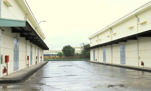 Số hóa kho dự trữ quốc gia trong kỷ nguyên mới