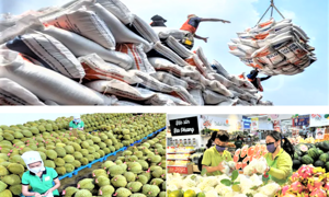 Giải pháp cho xuất khẩu nông sản phát triển bền vững