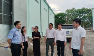 Lãnh đạo Cục Dự trữ Nhà nước làm việc với Chi cục Dự trữ Nhà nước khu vực II