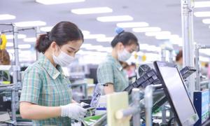 Đổi mới sáng tạo: Chìa khoá cho doanh nghiệp Việt vươn mình