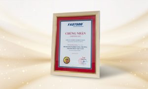 GELEX duy trì thứ hạng cao trong Bảng xếp hạng FAST500 năm 2025