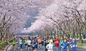 Hàn Quốc nỗ lực hút khách Việt, tăng thu từ du lịch
