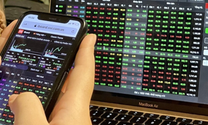 VN-Index lao dốc cuối phiên: Bull-trap “giăng lưới” nhà đầu tư