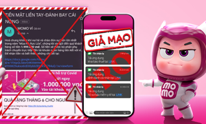 VIDEO: Cảnh báo lừa đảo qua MoMo Pro giả mạo – Mất tiền vì tin lời mời chào đầu tư