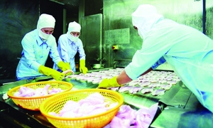 Mở rộng thị trường xuất khẩu nông, lâm, thủy sản sang CHLB Đức 