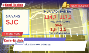 VIDEO: Giá vàng trong nước tiếp đà giảm theo thế giới