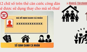 VIDEO: Từ ngày 1/7/2025, số định danh cá nhân thay thế mã số thuế – Người nộp thuế cần lưu ý