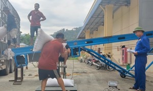 Chùm ảnh: Chi cục Dự trữ Nhà nước khu vực VI nhập lương thực dự trữ quốc gia năm 2025