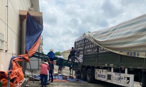 Chùm ảnh: Hoạt động nhập lương thực ở Chi cục Dự trữ Nhà nước khu vực III