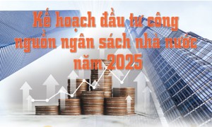 INFOGRAPHIC: Kế hoạch đầu tư công nguồn ngân sách nhà nước năm 2025