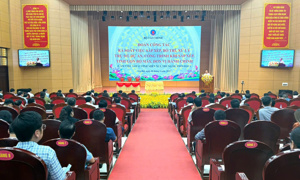 Sắp xếp tài sản công sau tinh gọn: Khối lượng công việc khổng lồ, yêu cầu xử lý gấp rút