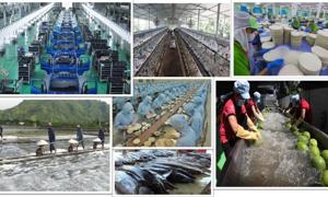 1.740 công ty đại chúng – động lực phát triển khu vực kinh tế tư nhân