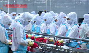 VIDEO: Xuất siêu tháng 5 đạt 4,67 tỷ USD: Chính sách xuất khẩu linh hoạt theo thị trường