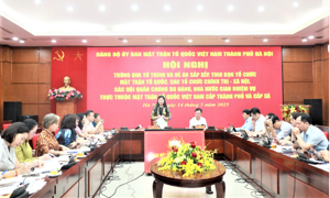 Tổ chức và hoạt động của Mặt trận Tổ quốc, các tổ chức bongdaso tintucnh trị - xã hội cấp tỉnh, xã theo mô hình mới