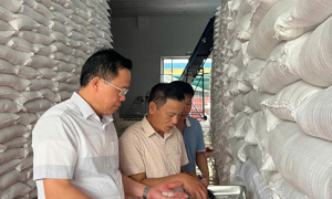Các Chi cục Dự trữ Nhà nước sẵn sàng ứng phó với áp thấp nhiệt đới gây mưa lớn, lũ quét