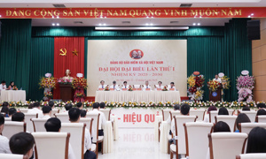 Phấn đấu thực hiện hiệu quả các chỉ tiêu phát triển Bảo hiểm xã hội, Bảo hiểm y tế giai đoạn 2025-2030
