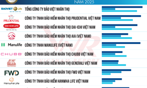 Lộ diện Top 10 "ông lớn" bảo hiểm tiếp đà thị trường khởi sắc