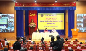 Chinh phủ ban hành Nghị định quy định về phân quyền, phân cấp trong lĩnh vực Thống kê