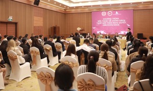 Lâm Đồng: Tháo gỡ kịp thời những vướng mắc cho doanh nghiệp tư nhân về thuế