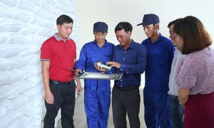 Chi cục Dự trữ Nhà nước khu vực II hoàn thành nhập kho 21.000 tấn gạo 