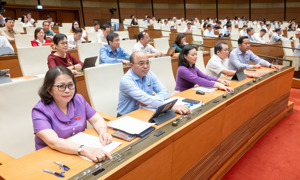 Quốc hội thông qua Luật Quản lý và đầu tư vốn nhà nước tại doanh nghiệp