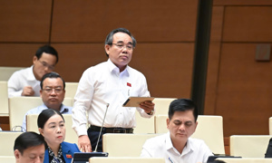 Xử lý nghiêm hành vi kinh doanh hàng giả, "thanh lọc" cán bộ bao che