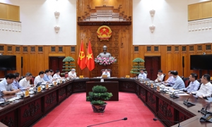 Thường trực Chính phủ họp cho ý kiến về chuẩn bị các dự án luật