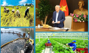 Nhanh chóng kiện toàn Tổ Thường trực cấp tỉnh, Ban Chỉ đạo Tổng điều tra nông thôn, nông nghiệp năm 2025 cấp xã