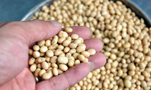 Việt Nam - thị trường quan trọng với các sản phẩm nông nghiệp Hoa Kỳ 