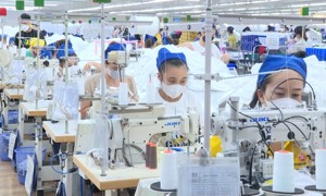 Thanh Hoá thu ngân sách nhà nước đạt trên 60% dự toán năm