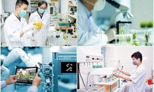 Chính sách ưu đãi thuế: Động lực chiến lược cho phát triển khoa học công nghệ và đổi mới sáng tạo
