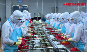 VIDEO: Từ cấp huyện đến xã- Cách tính lương tối thiểu mới có ảnh hưởng tới bạn?