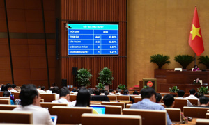 Kéo dài miễn thuế sử dụng đất nông nghiệp đến hết năm 2030