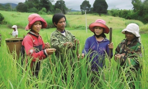 Giảm nghèo bền vững là động lực phát triển kinh tế - xã hội